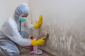 Mold Remediation for Rental Properties in Algonquin, IL